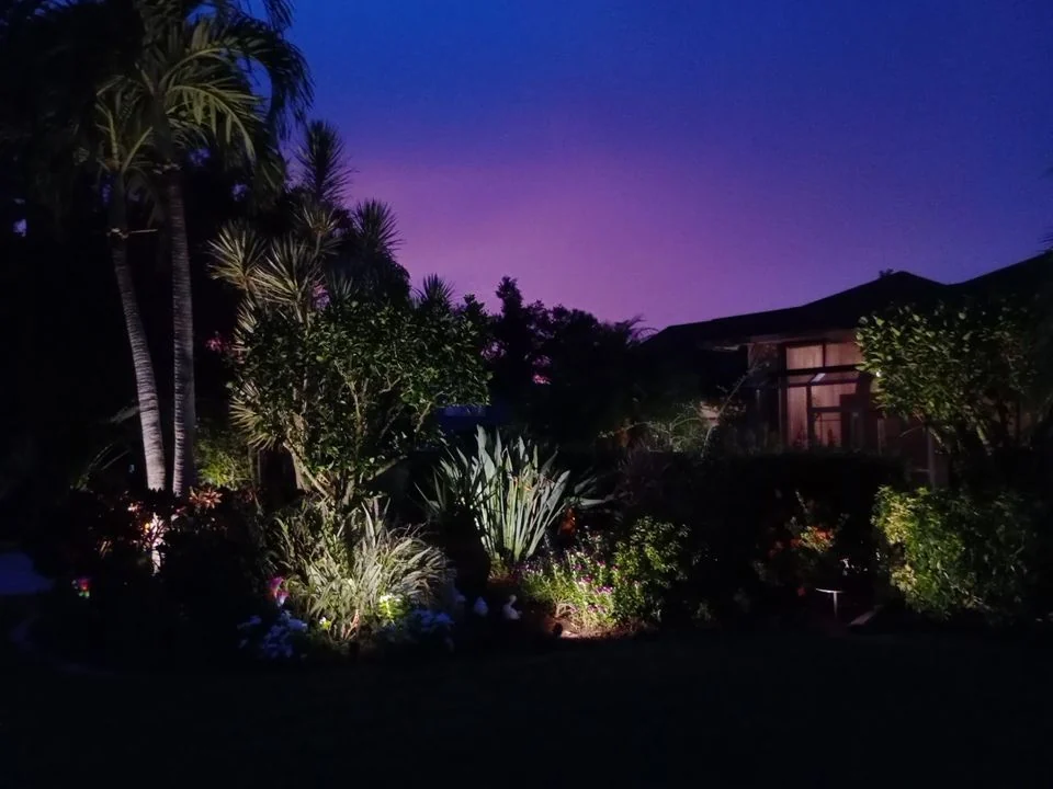 Landscape lighting illuminating trees and garden planting at dusk